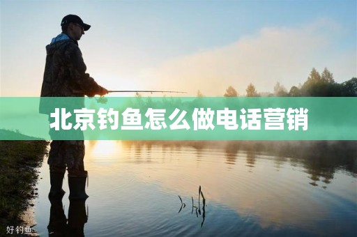 北京钓鱼怎么做电话营销