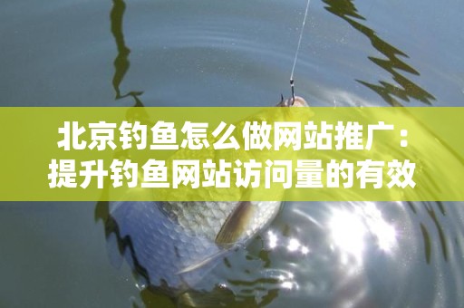 北京钓鱼怎么做网站推广：提升钓鱼网站访问量的有效策略