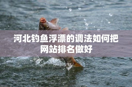 河北钓鱼浮漂的调法如何把网站排名做好