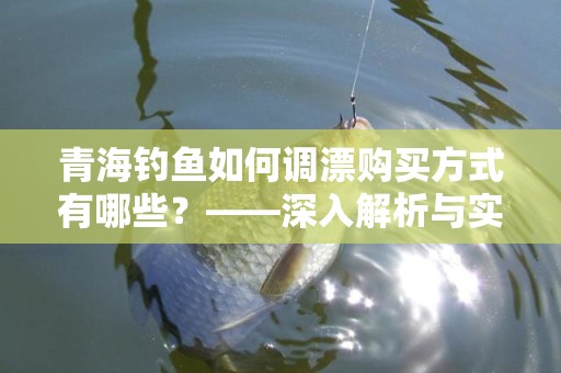 青海钓鱼如何调漂购买方式有哪些？——深入解析与实用指南