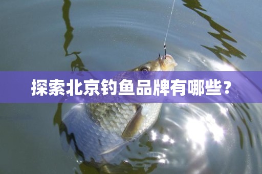 探索北京钓鱼品牌有哪些？