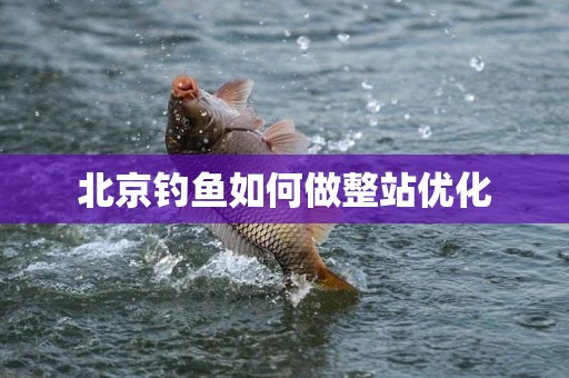 北京钓鱼如何做整站优化