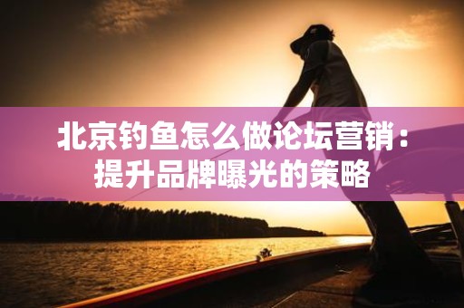 北京钓鱼怎么做论坛营销：提升品牌曝光的策略