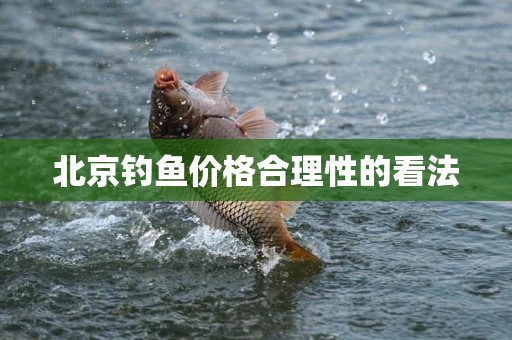 北京钓鱼价格合理性的看法