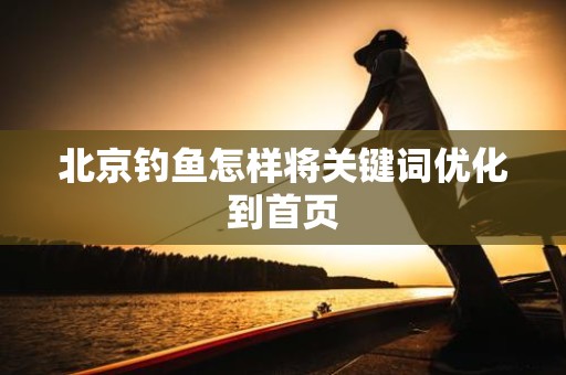 北京钓鱼怎样将关键词优化到首页