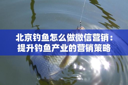 北京钓鱼怎么做微信营销：提升钓鱼产业的营销策略