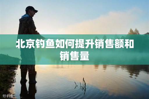 北京钓鱼如何提升销售额和销售量