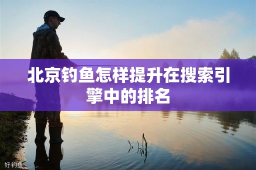 北京钓鱼怎样提升在搜索引擎中的排名