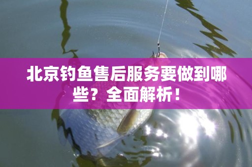 北京钓鱼售后服务要做到哪些？全面解析！