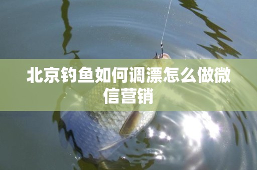 北京钓鱼如何调漂怎么做微信营销