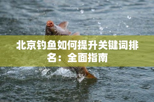 北京钓鱼如何提升关键词排名：全面指南