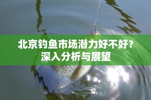 北京钓鱼市场潜力好不好？深入分析与展望
