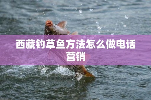 西藏钓草鱼方法怎么做电话营销