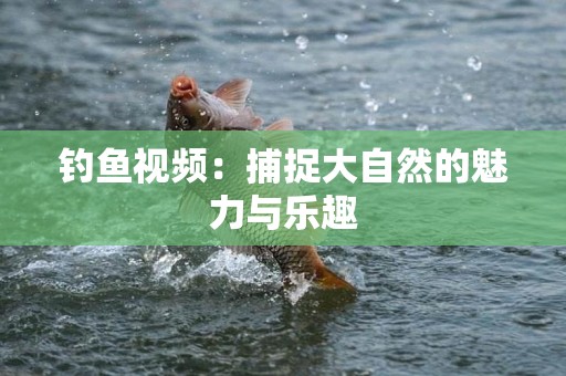 钓鱼视频：捕捉大自然的魅力与乐趣