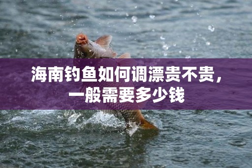 海南钓鱼如何调漂贵不贵，一般需要多少钱