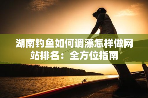 湖南钓鱼如何调漂怎样做网站排名：全方位指南