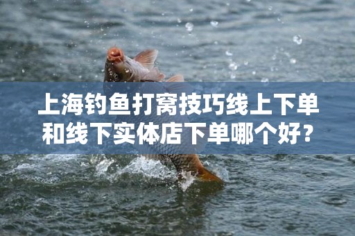 上海钓鱼打窝技巧线上下单和线下实体店下单哪个好？
