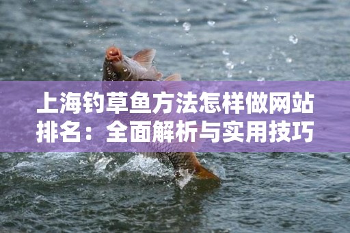 上海钓草鱼方法怎样做网站排名：全面解析与实用技巧