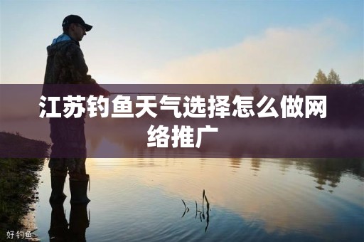 江苏钓鱼天气选择怎么做网络推广