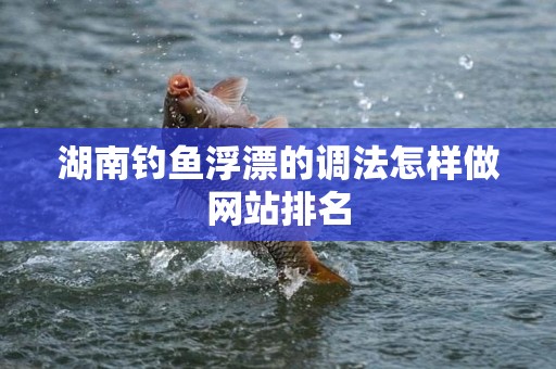 湖南钓鱼浮漂的调法怎样做网站排名