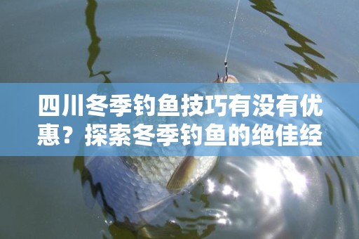 四川冬季钓鱼技巧有没有优惠？探索冬季钓鱼的绝佳经验