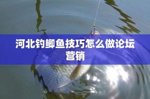 河北钓鲫鱼技巧怎么做论坛营销